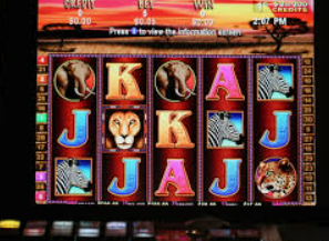 森林舞会电玩城最新版